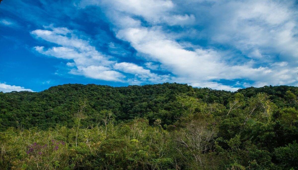 Loft Superior Villa Dalle Ubatuba Εξωτερικό φωτογραφία